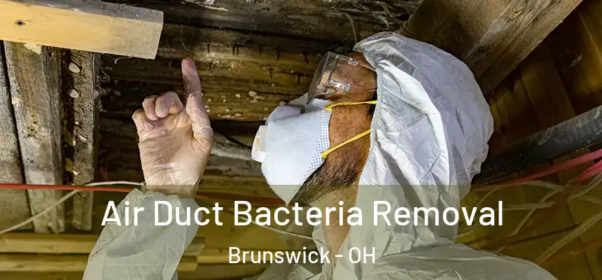  Air Duct Bacteria Removal Brunswick - OH