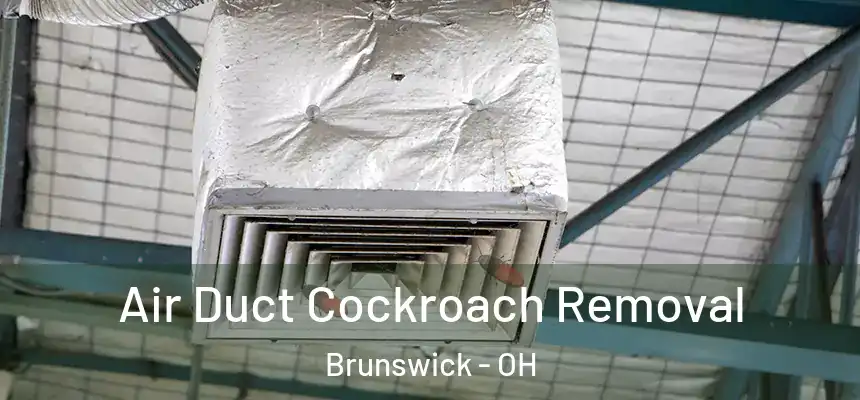 Air Duct Cockroach Removal Brunswick - OH