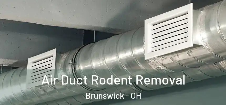  Air Duct Rodent Removal Brunswick - OH