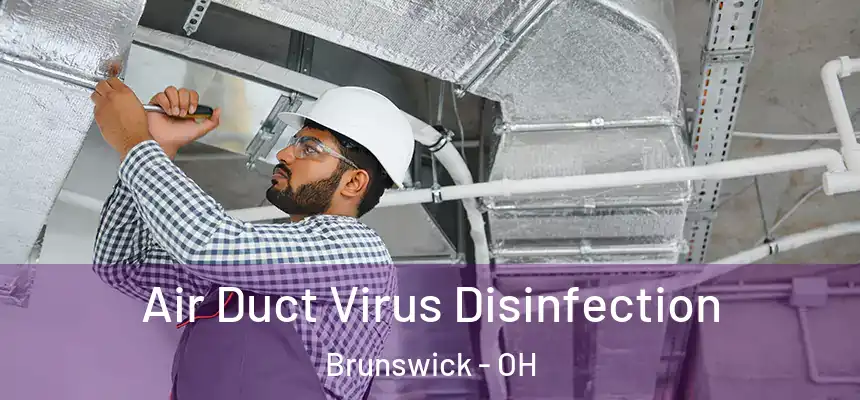  Air Duct Virus Disinfection Brunswick - OH