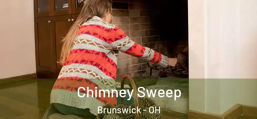  Chimney Sweep Brunswick - OH