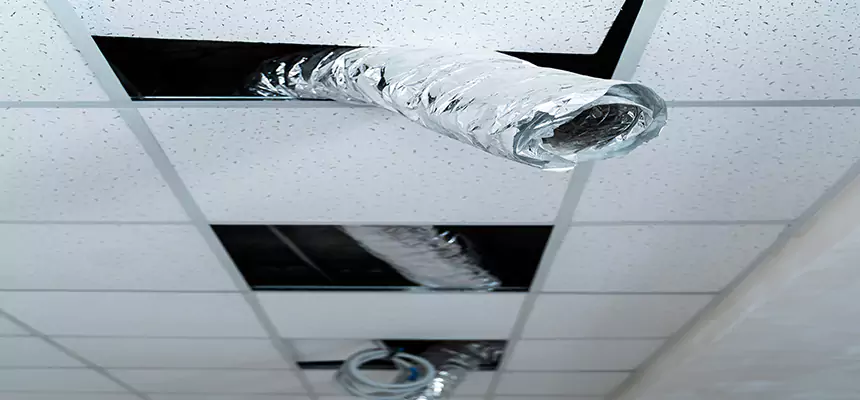 Our Air Duct Pet Hair Removal Services in Brunswick, OH