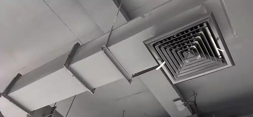 Our Pest Removal From Ducts Services in Brunswick, OH