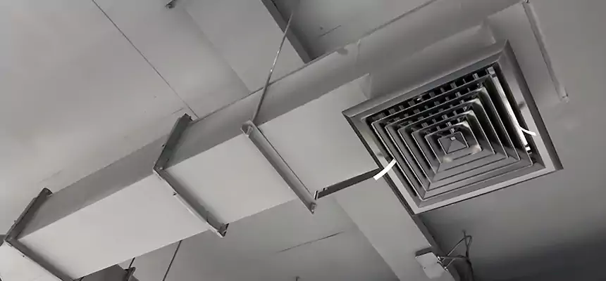 Our Rodent Droppings In Vents Services in Brunswick, OH