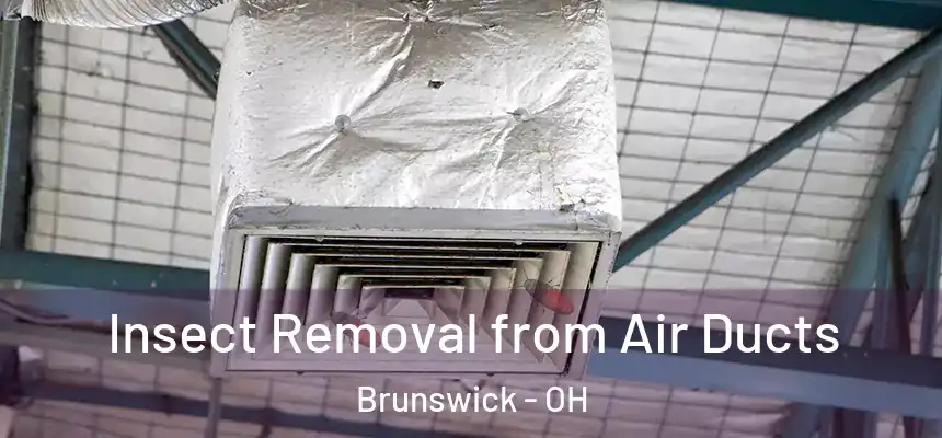  Insect Removal from Air Ducts Brunswick - OH