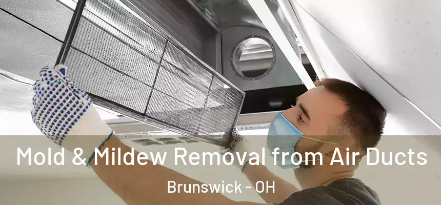  Mold & Mildew Removal from Air Ducts Brunswick - OH