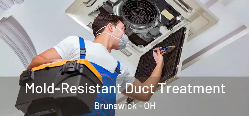  Mold-Resistant Duct Treatment Brunswick - OH