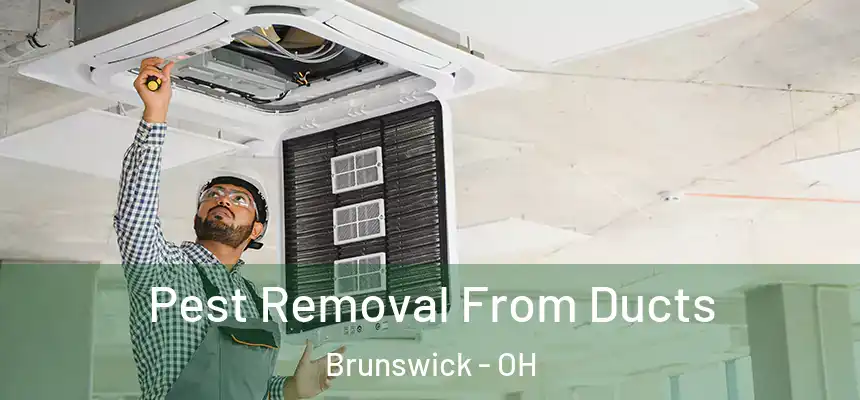  Pest Removal From Ducts Brunswick - OH