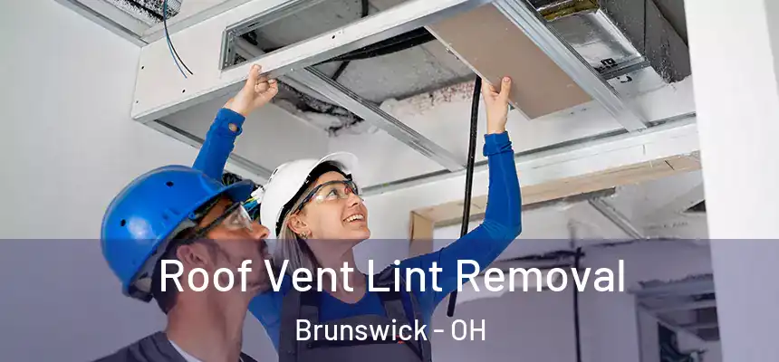  Roof Vent Lint Removal Brunswick - OH
