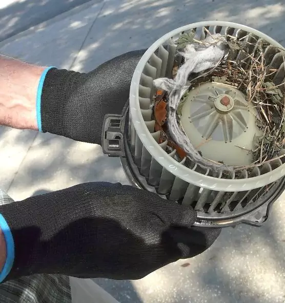 About Air Duct Mice Removal in Brunswick, OH