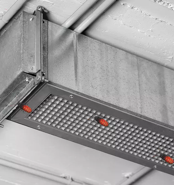 Affordable Insect Removal from Air Ducts in Brunswick, OH